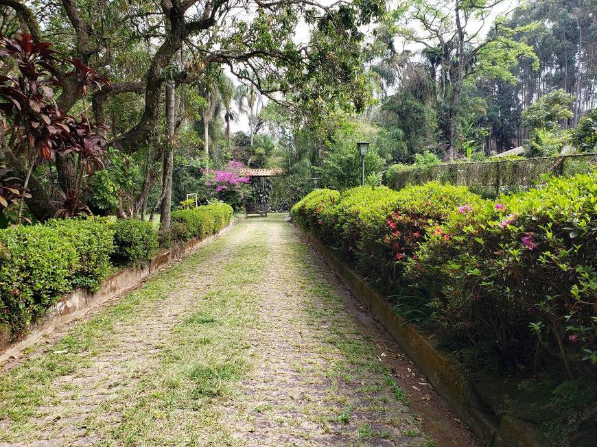 Sítio à venda com 10 quartos, 1000m² - Foto 5