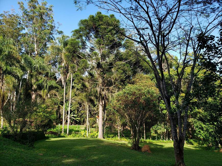 Sítio à venda com 10 quartos, 1000m² - Foto 25