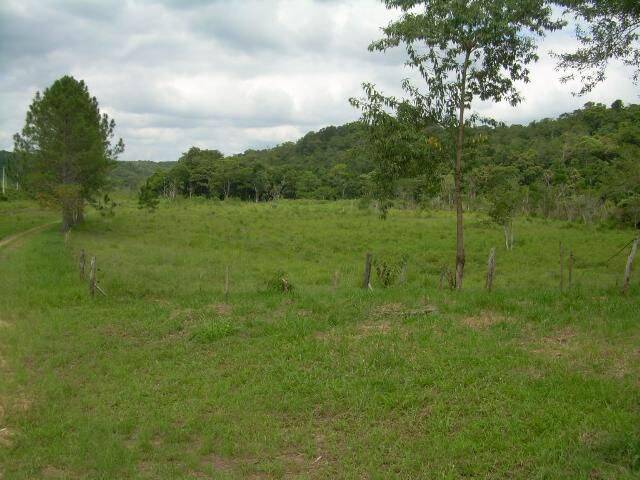 Terreno, 19 hectares - Foto 1