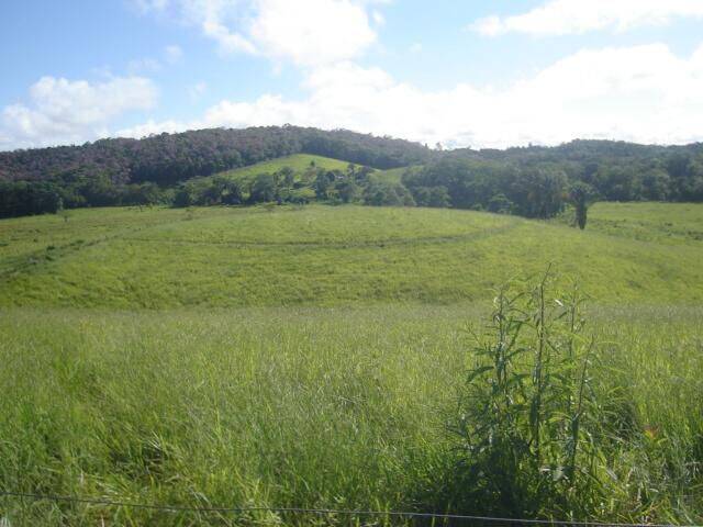 Terreno, 19 hectares - Foto 6
