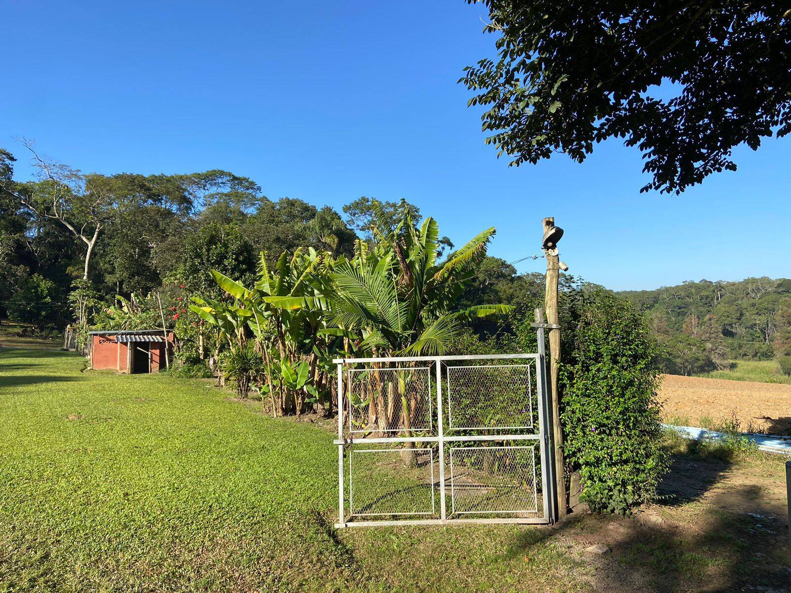 Terreno, 19 hectares - Foto 7