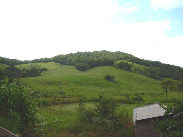 Terreno, 19 hectares - Foto 8
