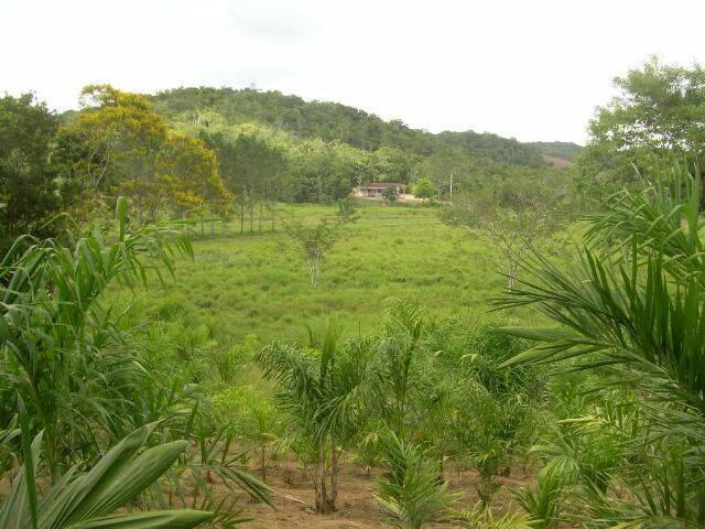 Terreno, 19 hectares - Foto 9