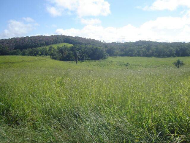 Terreno, 19 hectares - Foto 11