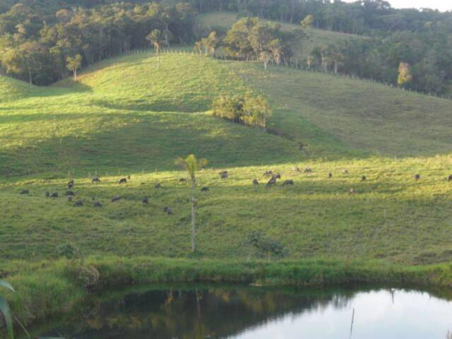 Terreno, 19 hectares - Foto 12