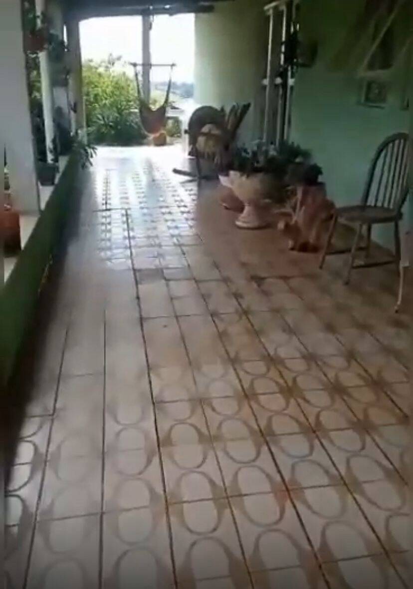Chácara à venda com 2 quartos, 1560m² - Foto 15