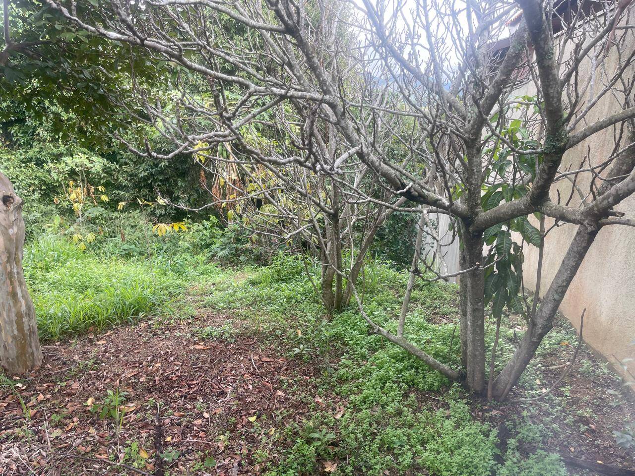 Terreno, 1000 m² - Foto 6