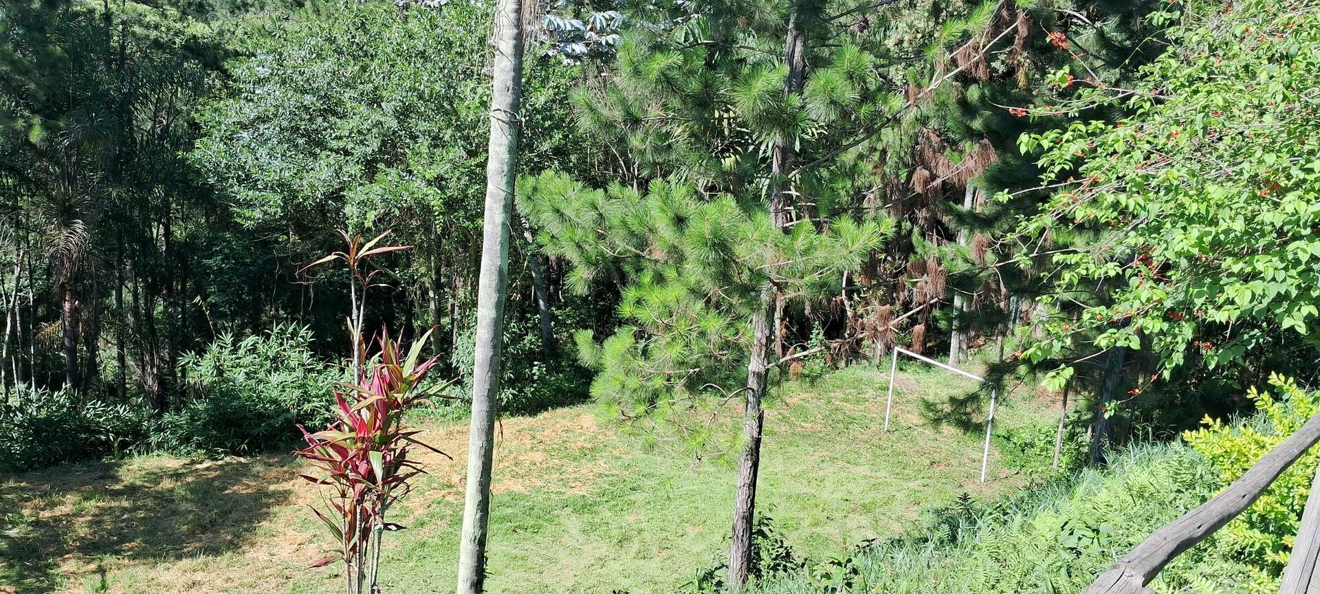 Chácara à venda com 4 quartos, 140m² - Foto 7