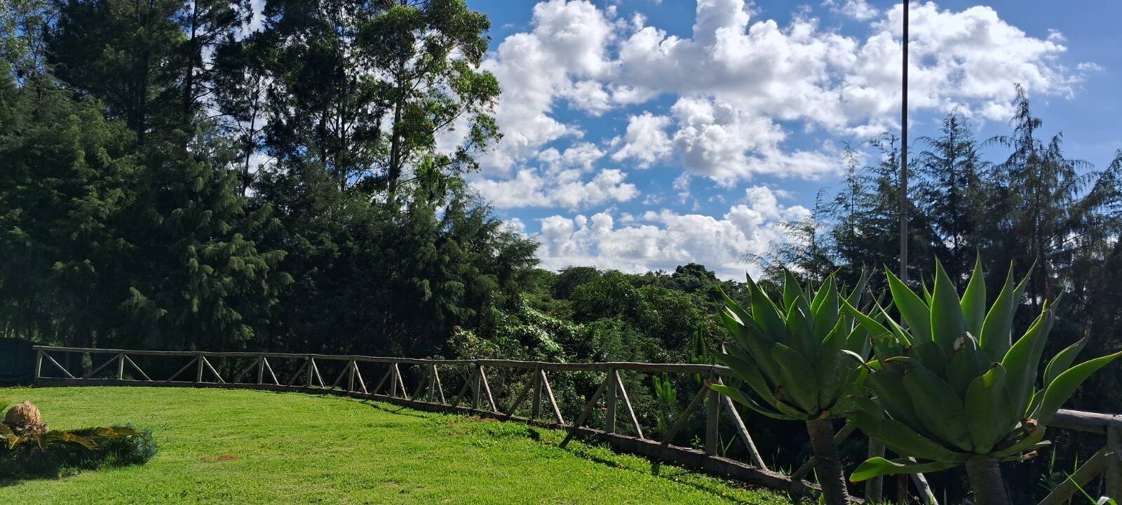 Chácara à venda com 4 quartos, 140m² - Foto 20
