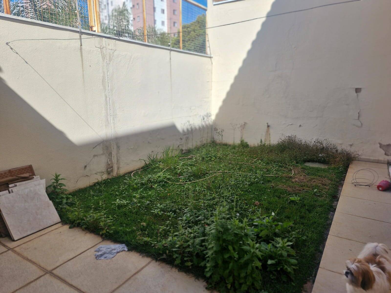 Casa à venda com 3 quartos - Foto 4