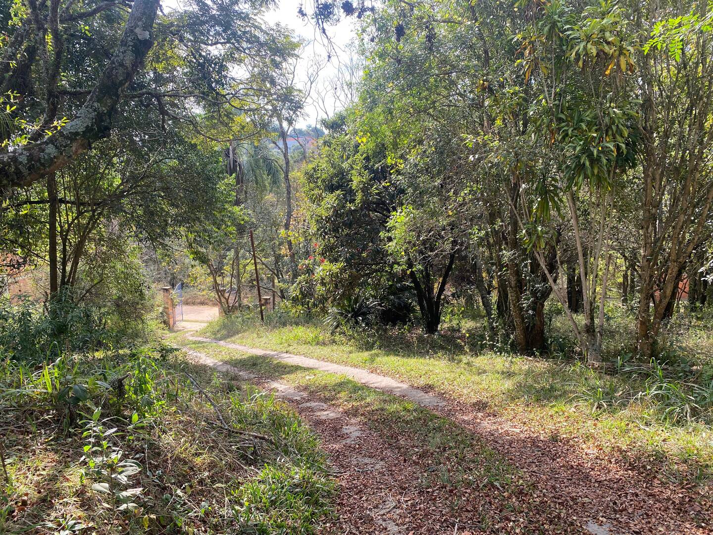 Chácara à venda com 2 quartos, 4100m² - Foto 2