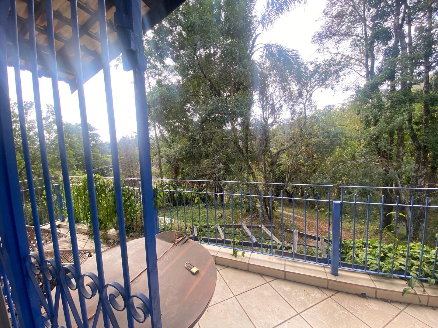 Chácara à venda com 2 quartos, 4100m² - Foto 8