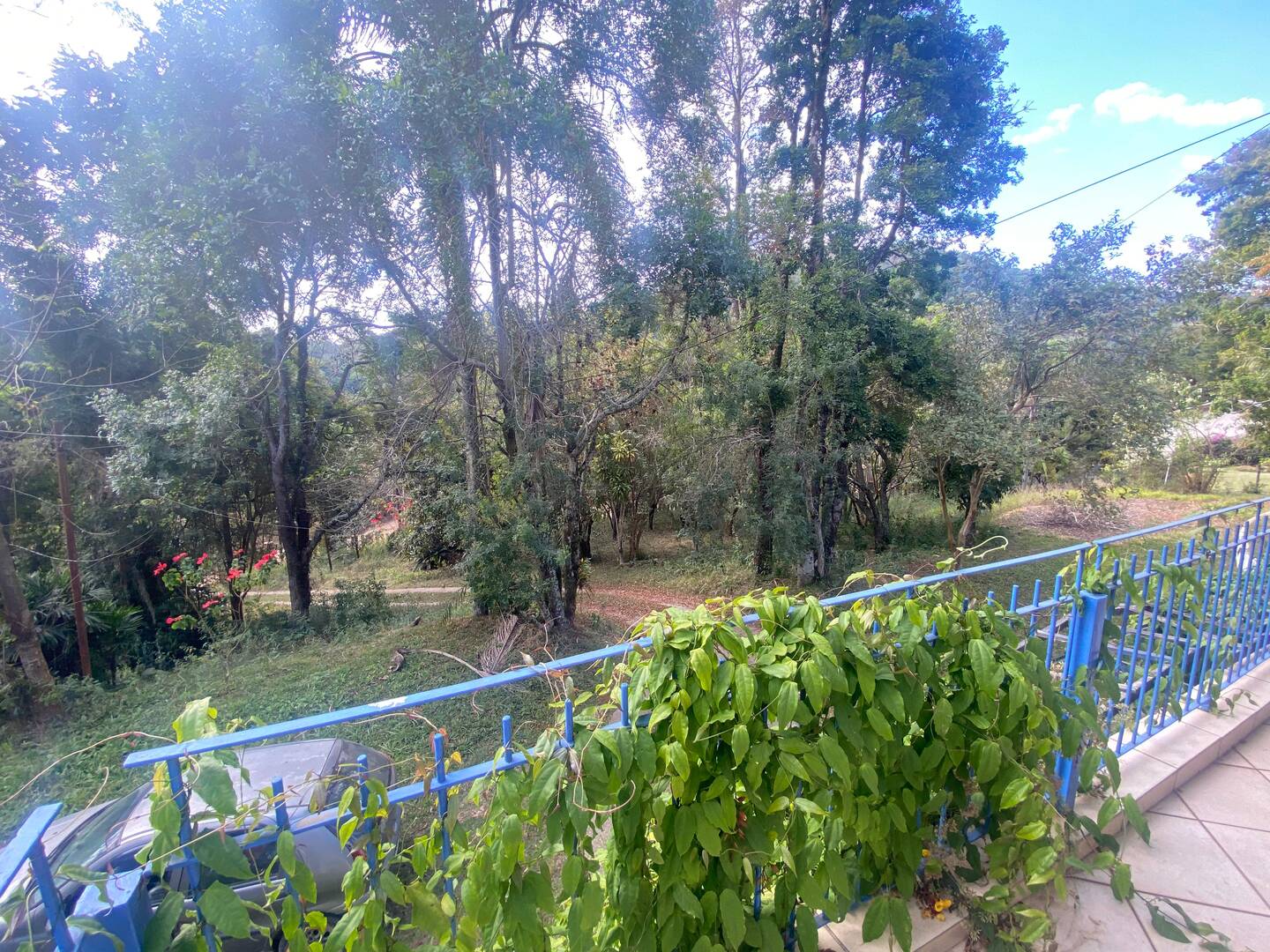 Chácara à venda com 2 quartos, 4100m² - Foto 10