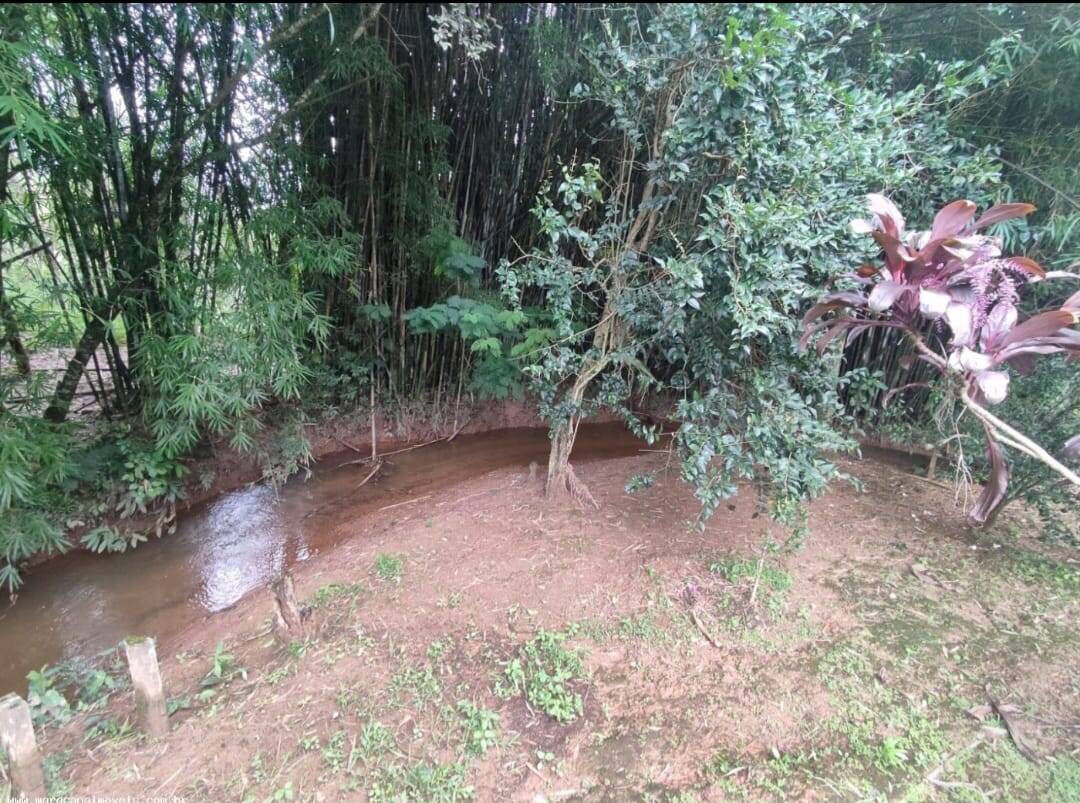 Chácara à venda com 2 quartos, 2700m² - Foto 2