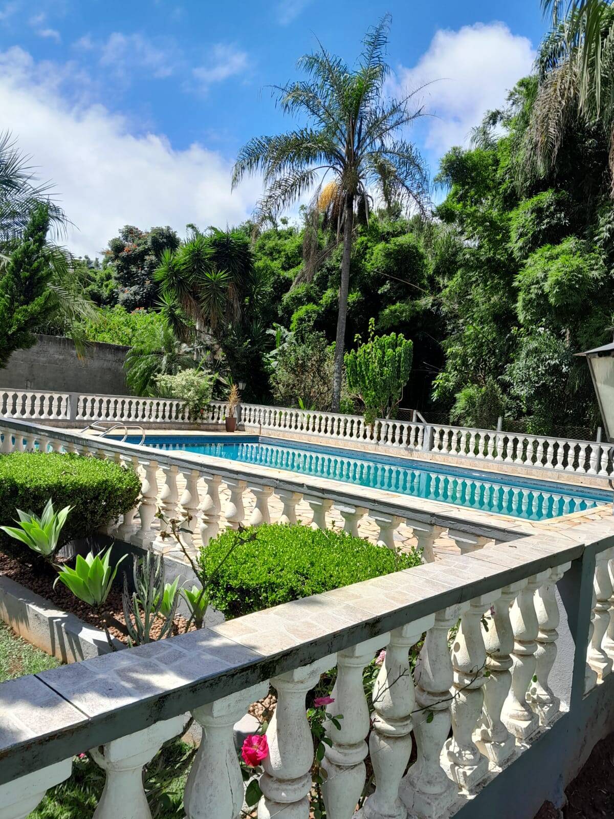 Chácara à venda com 2 quartos, 2700m² - Foto 26
